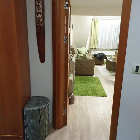 Apartment Lux Centar *
