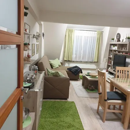 Lux Centar Apartment Kopaonik